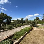 Costa Dei Tramonti - Argonautivacanze Apartment *