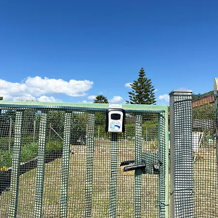 Costa Dei Tramonti - Argonautivacanze شقة بالاتزو