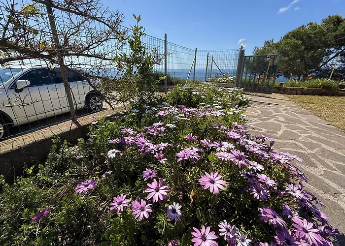 Costa Dei Tramonti - Argonautivacanze Palazzo (Livorno)