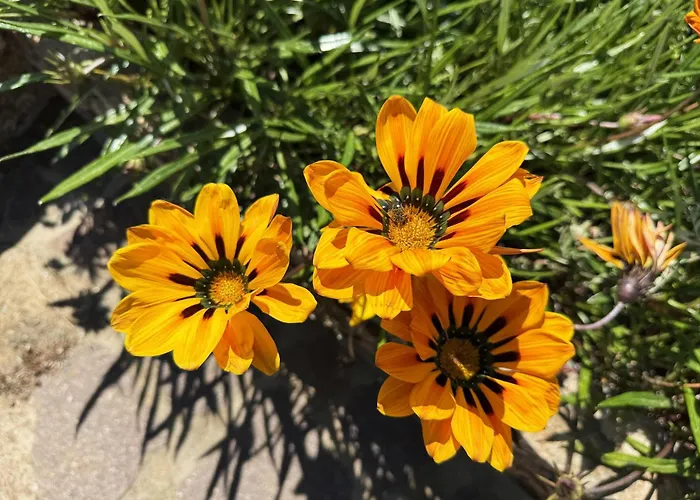 Costa Dei Tramonti - Argonautivacanze * Palazzo (Livorno)